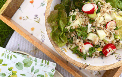 Rezept der Saison